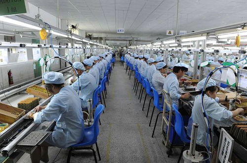 大學生癡迷哲學退學當民工,邊打工邊搞翻譯,遭周圍人嫌棄白眼